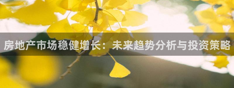 新宝5玩法：房地产市场稳健增长：未来趋势分析与投资策略
