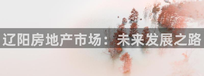 新宝5：辽阳房地产市场：未来发展之路