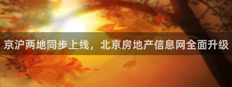 新宝5娱乐学：京沪两地同步上线，北京房地产信息网全面升级