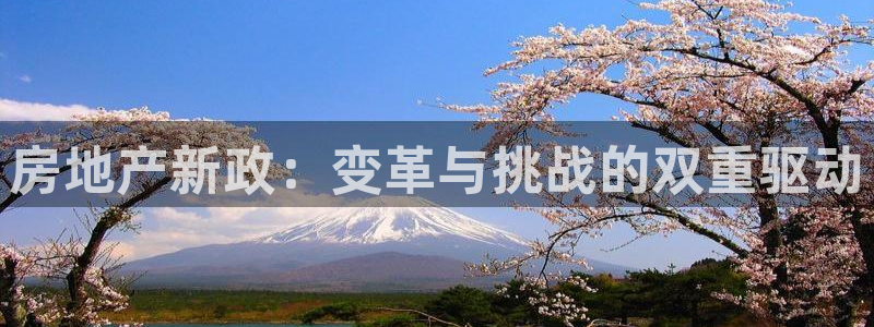 新宝5测速下载：房地产新政：变革与挑战的双重驱动