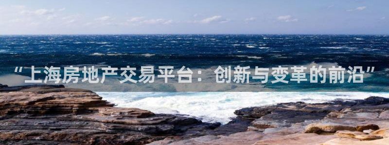 新宝5吕74OOO5：“上海房地产交易平台：创新与变革的前沿