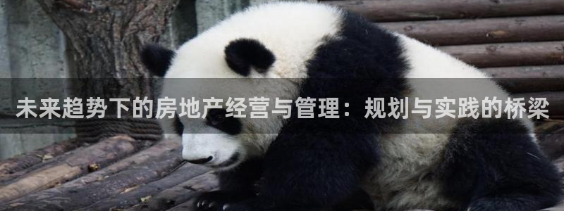 新宝5登录界面：未来趋势下的房地产经营与管理：规划与实践的桥