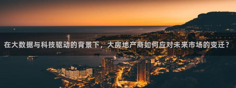 新宝6霸哥5：在大数据与科技驱动的背景下，大房地产商如何应对