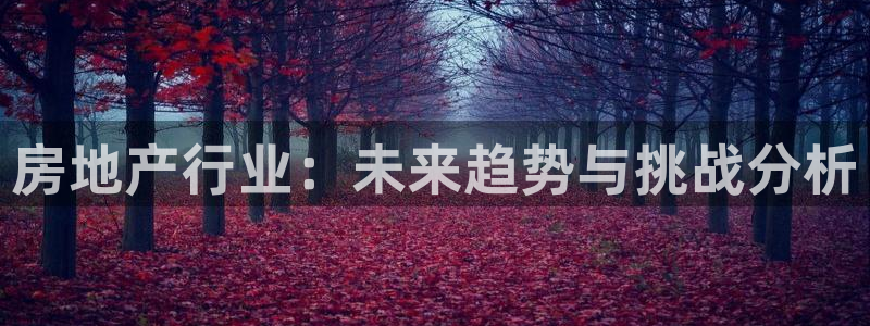 新宝5公司：房地产行业：未来趋势与挑战分析