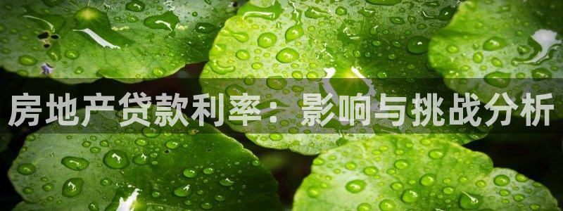 新宝5登陆：房地产贷款利率：影响与挑战分析