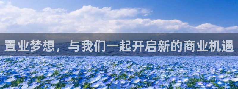 新宝新5：置业梦想，与我们一起开启新的商业机遇