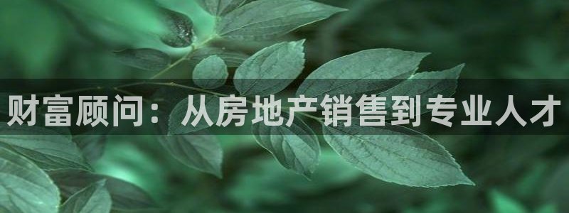 新宝5球维33 300：财富顾问：从房地产销售到专业人才
