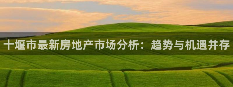 新宝5娱乐方：十堰市最新房地产市场分析：趋势与机遇并存
