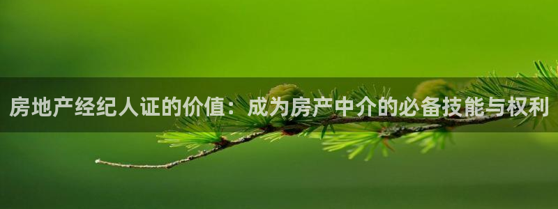 新宝5什么时候上市：房地产经纪人证的价值：成为房产中介的必备