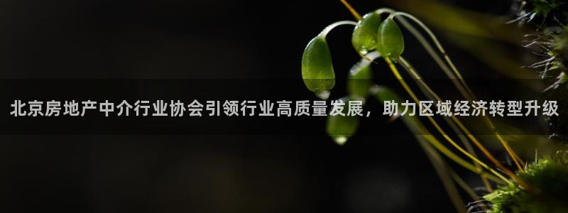新宝5平台：北京房地产中介行业协会引领行业高质量发展，助力区