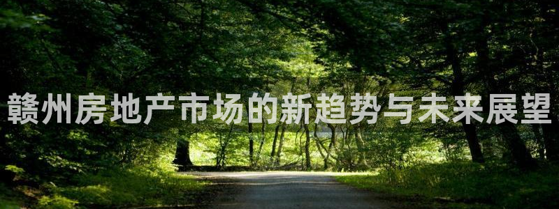 新宝5平台注册：赣州房地产市场的新趋势与未来展望