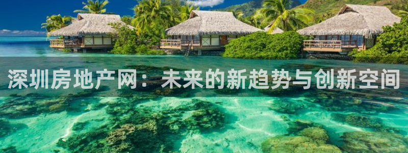 新宝5注册：深圳房地产网：未来的新趋势与创新空间