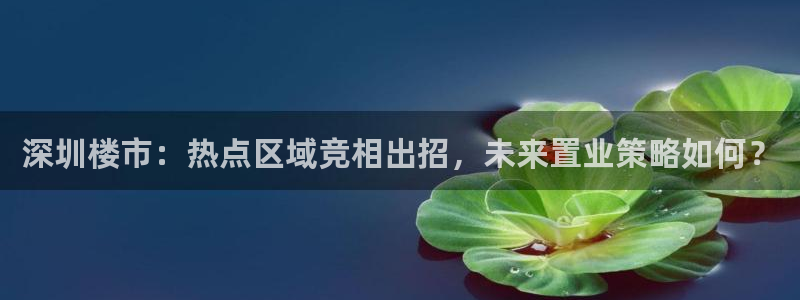 新宝5巅峰：深圳楼市：热点区域竞相出招，未来置业策略如何？