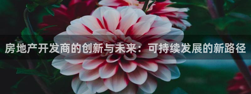 新宝5安卓版：房地产开发商的创新与未来：可持续发展的新路径