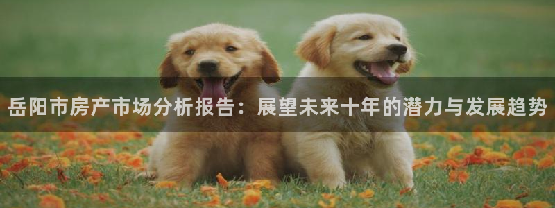 新宝集团新宝5：岳阳市房产市场分析报告：展望未来十年的潜力与