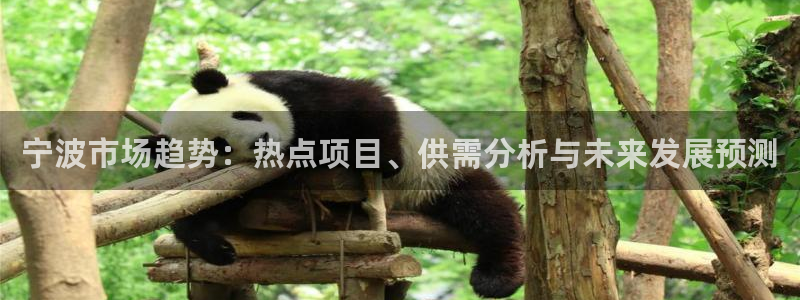 新宝5日谢29999：宁波市场趋势：热点项目、供需分析与未来