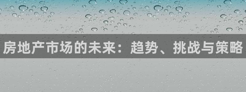 新宝rm5：房地产市场的未来：趋势、挑战与策略