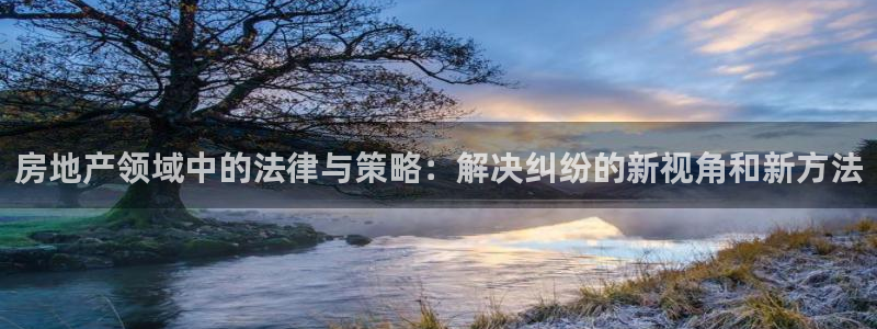 新宝5首页：房地产领域中的法律与策略：解决纠纷的新视角和新方