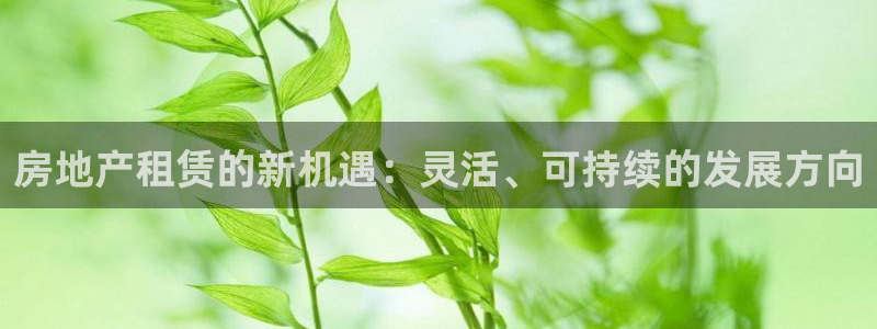 新宝5台卡：房地产租赁的新机遇：灵活、可持续的发展方向