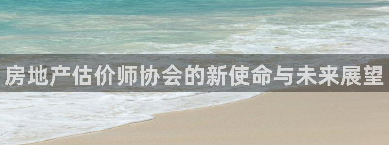 新宝5娱乐登录：房地产估价师协会的新使命与未来展望