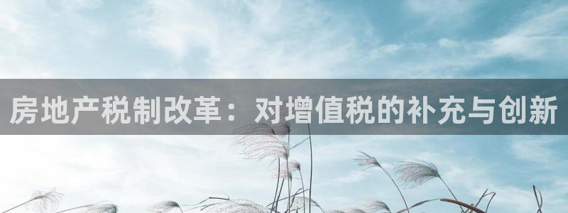 新宝5登录入口网址：房地产税制改革：对增值税的补充与创新