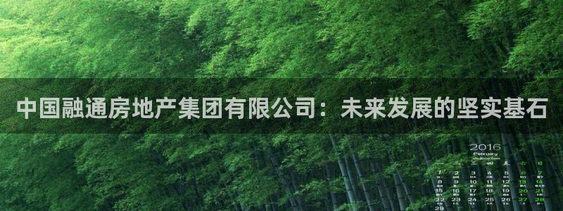 新宝5寻33 300球：中国融通房地产集团有限公司：未来发展