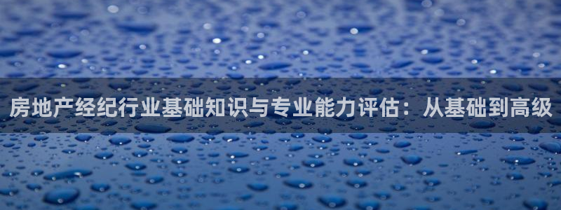 有人知道新宝5么：房地产经纪行业基础知识与专业能力评估：从基