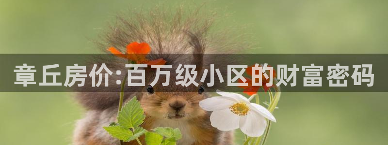 新宝5源码：章丘房价:百万级小区的财富密码