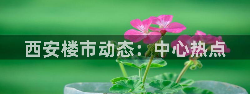 新宝5系列：西安楼市动态：中心热点