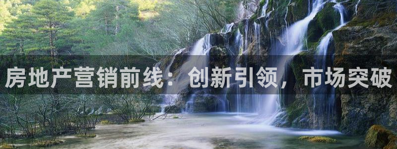 新宝5娱乐登录：房地产营销前线：创新引领，市场突破