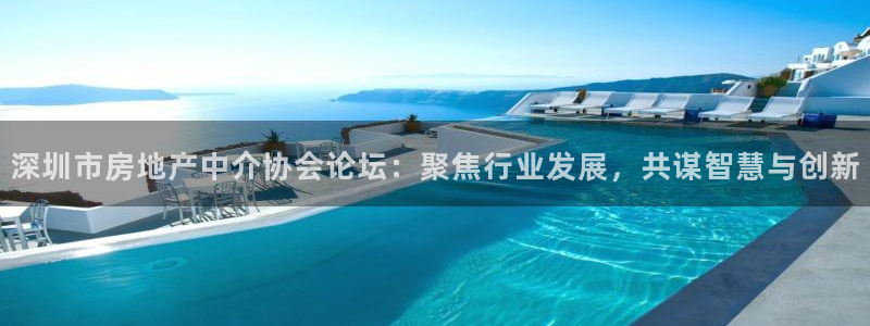 p5r新宝魔：深圳市房地产中介协会论坛：聚焦行业发展，共谋智