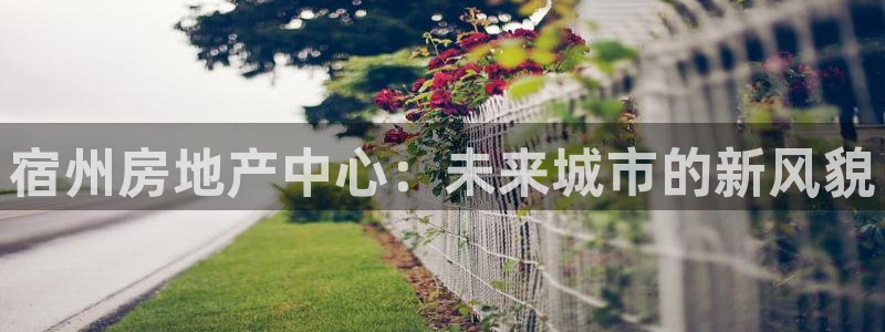 新宝5电脑：宿州房地产中心：未来城市的新风貌