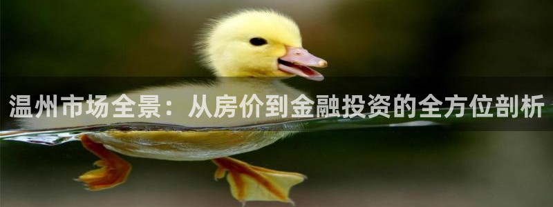 新宝5代理：温州市场全景：从房价到金融投资的全方位剖析