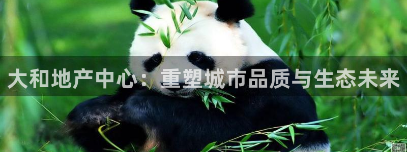 新宝5飞355051：大和地产中心：重塑城市品质与生态未来