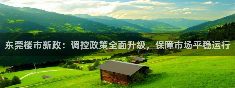 新宝5如何下载：东莞楼市新政：调控政策全面升级，保障市场平稳