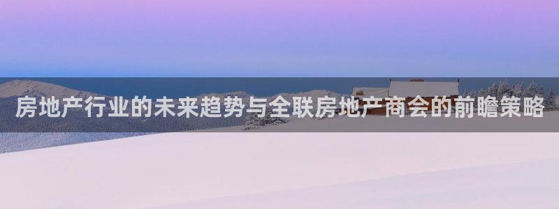 新宝5总代：房地产行业的未来趋势与全联房地产商会的前瞻策略