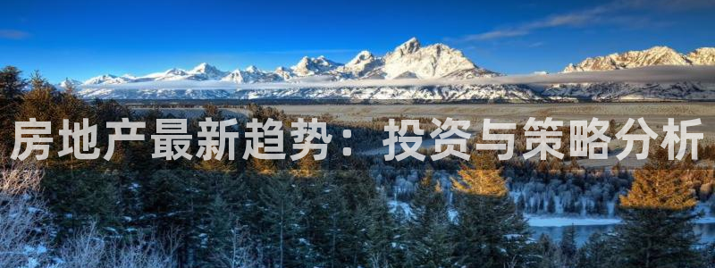 新宝5官网67五壹叁八：房地产最新趋势：投资与策略分析