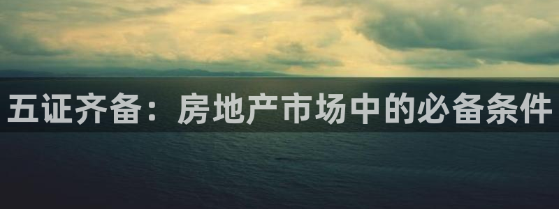 新宝5手机下载：五证齐备：房地产市场中的必备条件