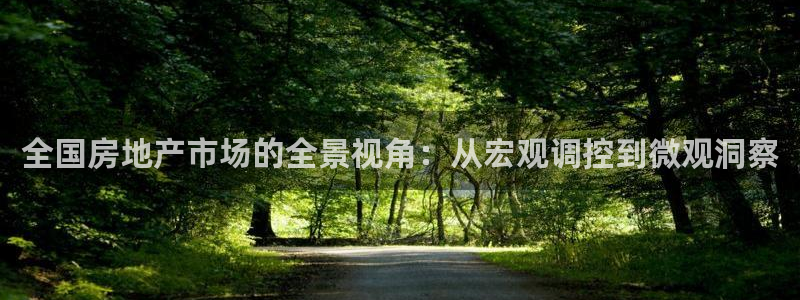 新宝5手机登陆：全国房地产市场的全景视角：从宏观调控到微观洞