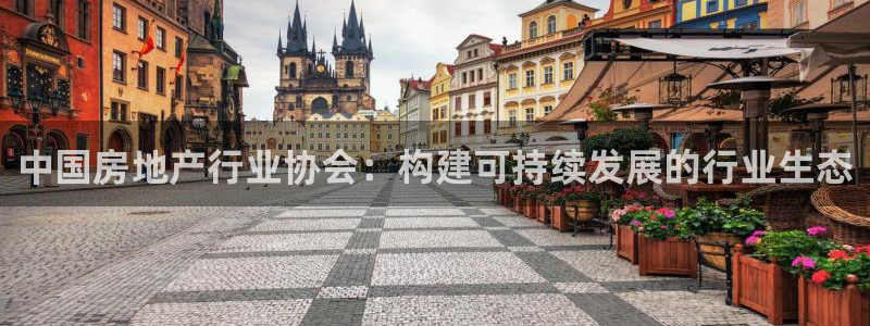 新宝b2O5O5O：中国房地产行业协会：构建可持续发展的行业