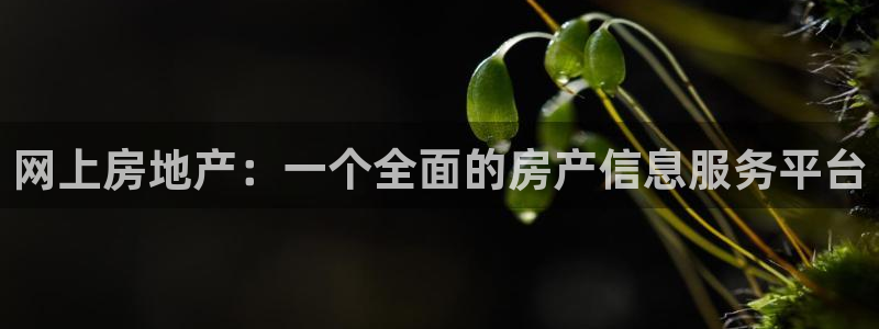 新宝5登录网址：网上房地产：一个全面的房产信息服务平台