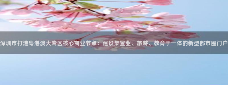 新宝5月：深圳市打造粤港澳大湾区核心商业节点：建设集置业、旅