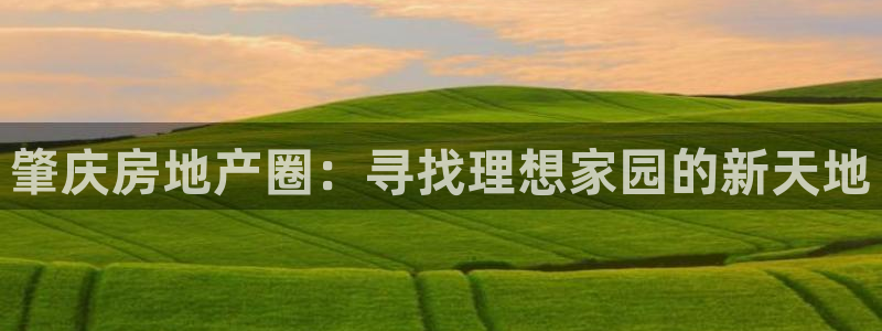 新宝5寻33 300球：肇庆房地产圈：寻找理想家园的新天地