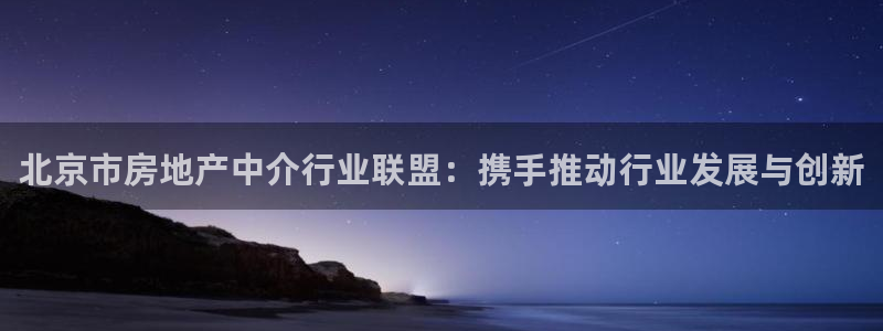新宝5：北京市房地产中介行业联盟：携手推动行业发展与创新