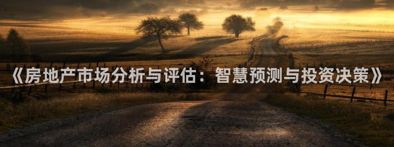 新宝5手机测速：《房地产市场分析与评估：智慧预测与投资决策》