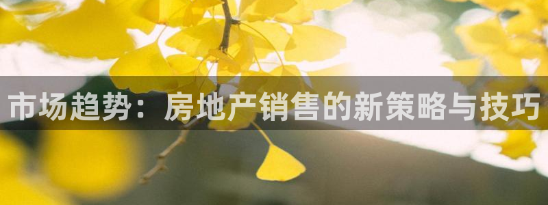 新宝5代理：市场趋势：房地产销售的新策略与技巧