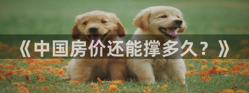 新宝5登录注册：《中国房价还能撑多久？》