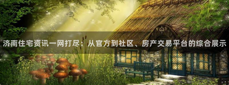 新宝rm5：济南住宅资讯一网打尽：从官方到社区、房产交易平台