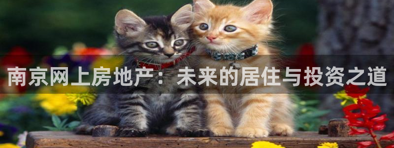 新宝5怎么代理：南京网上房地产：未来的居住与投资之道