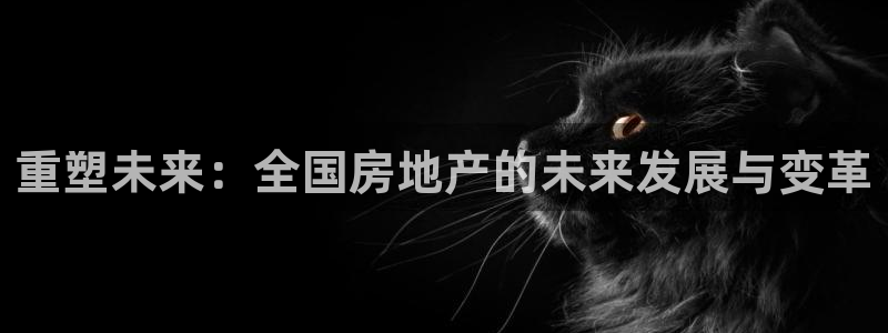 新宝5开好：重塑未来：全国房地产的未来发展与变革